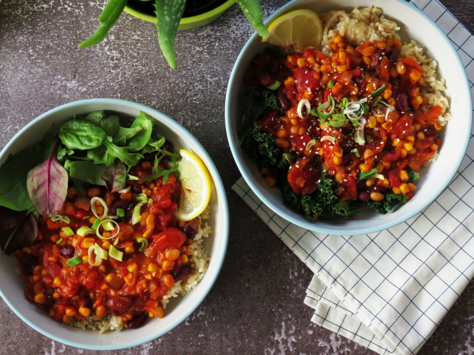 Chili Sin Carne with Brown Rice Vegan Foodiez